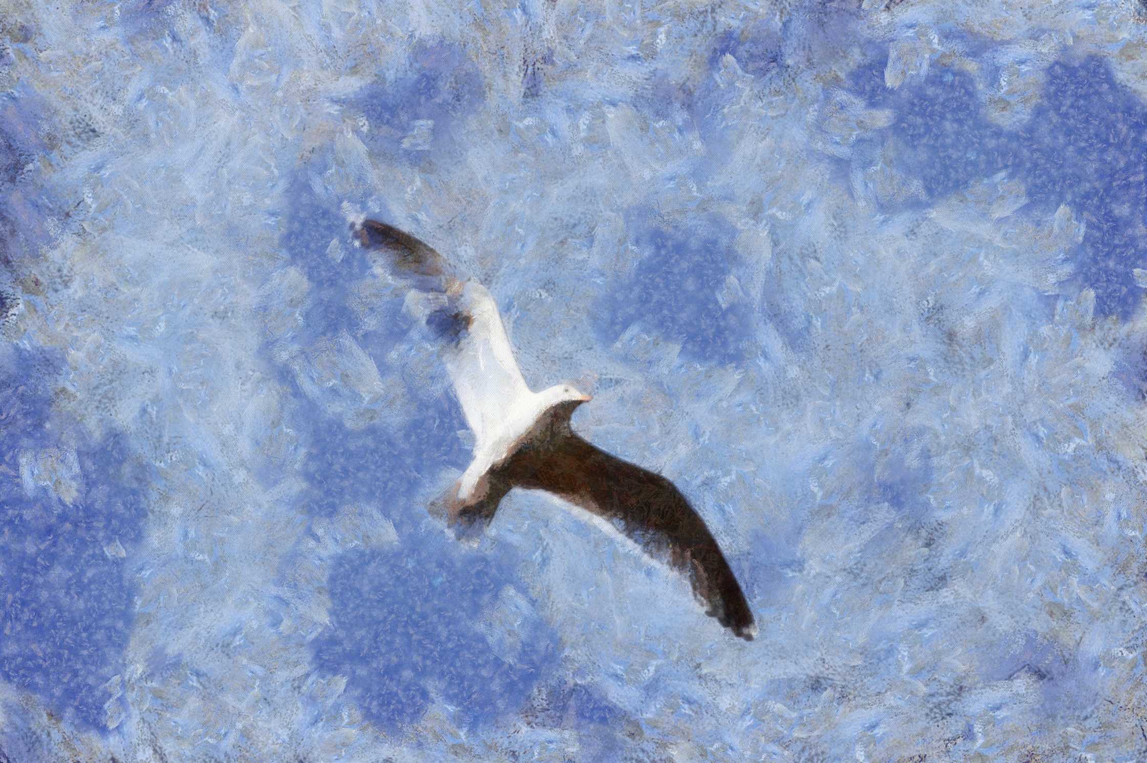 270220192033paint.jpg